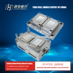 2 cavities dispoable lid mould