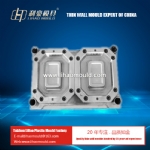 PP Thin-wall square container mould