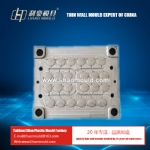 24 cavities samllPP thin wall plate mould thin wall lid  mould