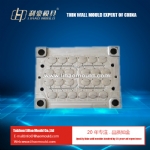 24 cavities PP thin wall mould