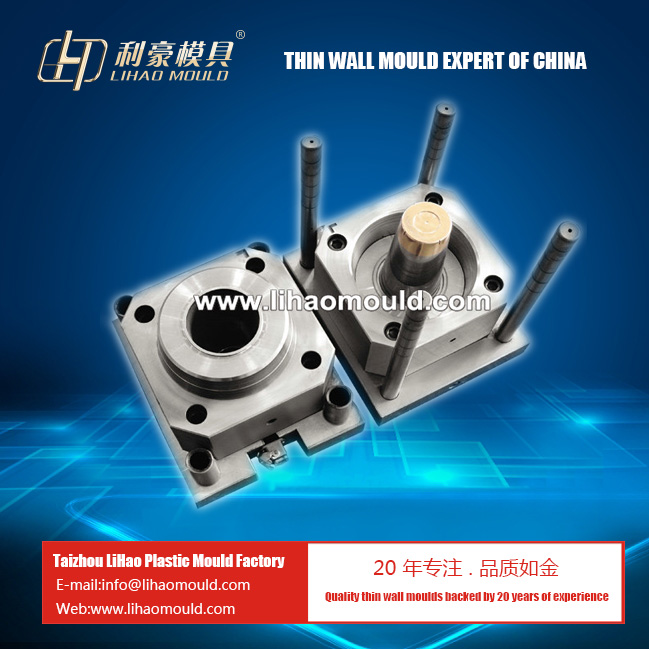 famous PS thin wall cup mould in China