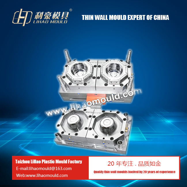 PP Disposal food container mould