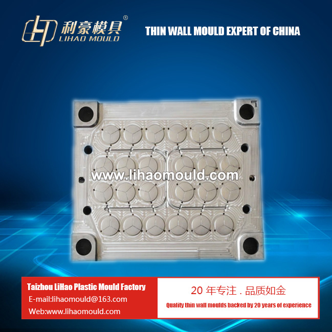 24 cavities samllPP thin wall plate mould thin wall lid  mould